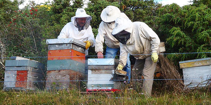 Les sorties du 13 au 16 juin 