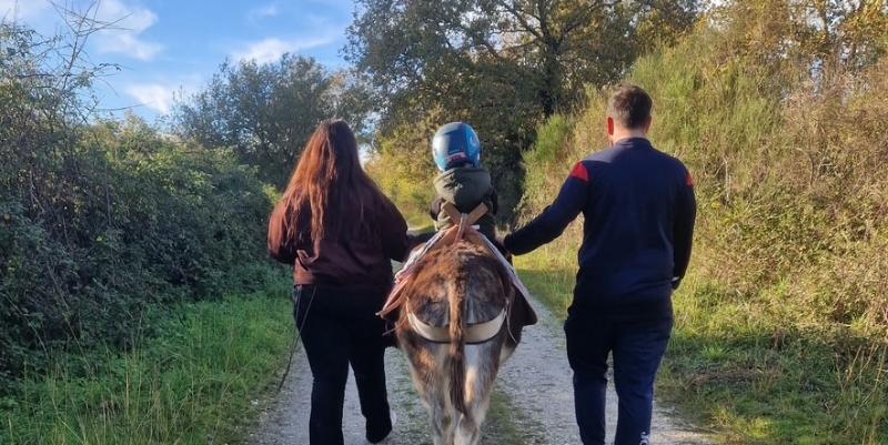 ''Culture d’âne'' : immersion dans l’asinerie du Médoc et ses 22 pensionnaires