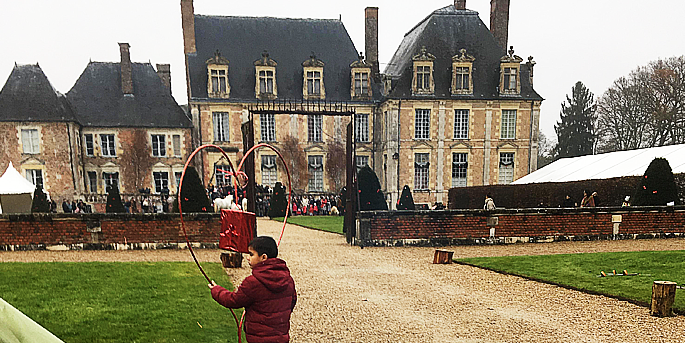 Le château de la Ferté Saint-Aubin