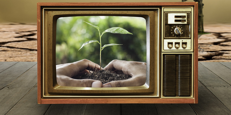 Télés, plateformes : une rentrée « verte » !