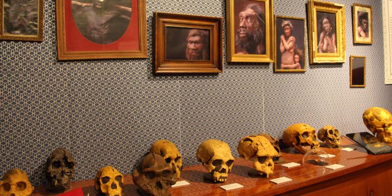 Bienvenue chez les Préhistos : nouvelle expo immersive à Cap Sciences Bordeaux