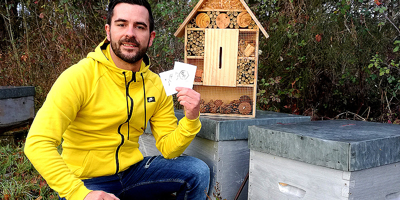 Du trèfle pour l'abeille solitaire