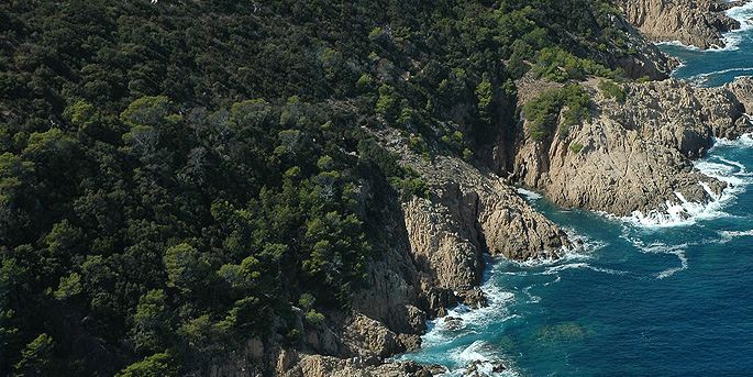 Les Amis de Janas et du Cap Sicié