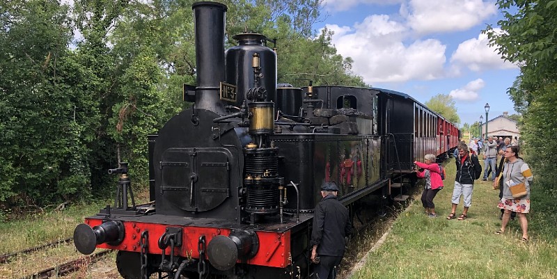 illustration de Le Train des Mouettes à Saujon