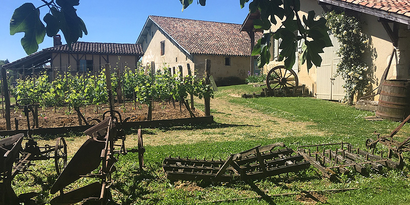 illustration de Histoire de terroir dans les Landes