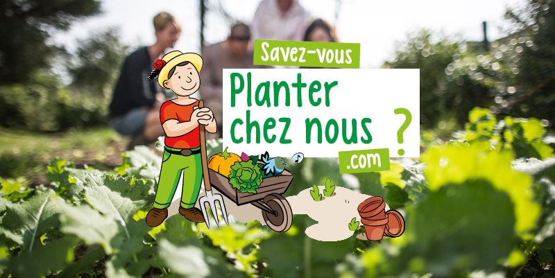 Plantezcheznous.com : co-cultivons notre jardin !