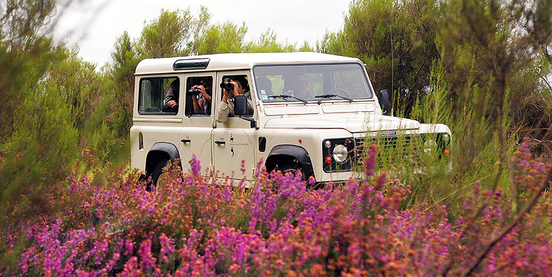 Le Domaine de Chambord en 4x4