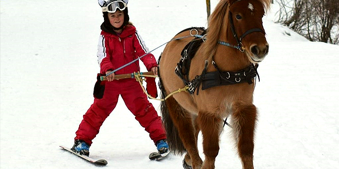 Ski Joering à Allos