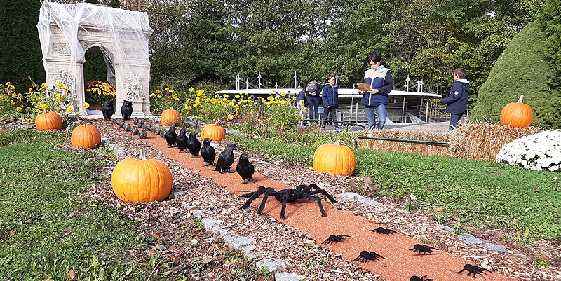 Aux couleurs d'halloween dans le Grand-Ouest