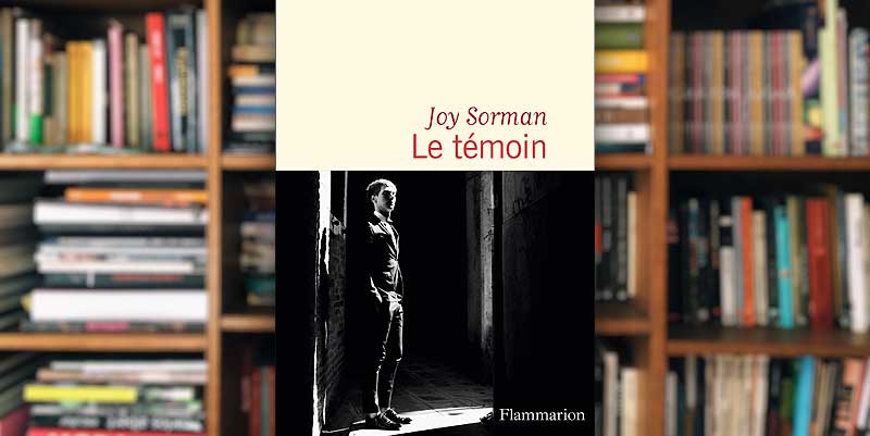 illustration de ''Le témoin'' de Joy Sorman