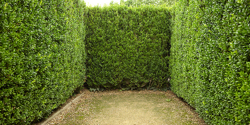 Des balades en Haute-Garonne