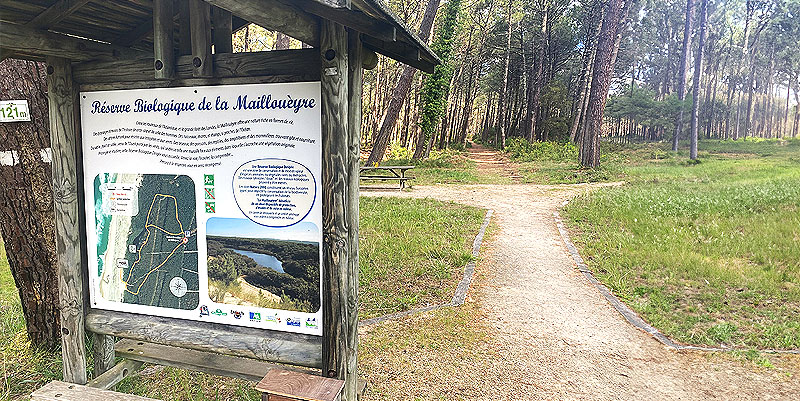 L'étang de Maillouèyre : une promenade pédagogique au cœur de la nature landaise