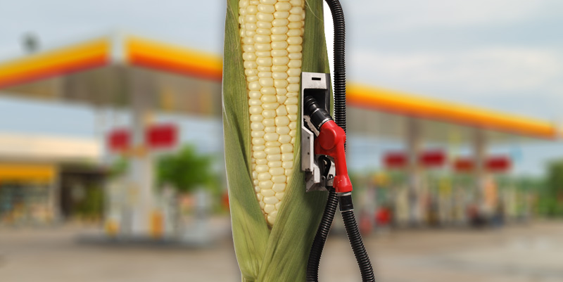 Le bioéthanol en chiffres