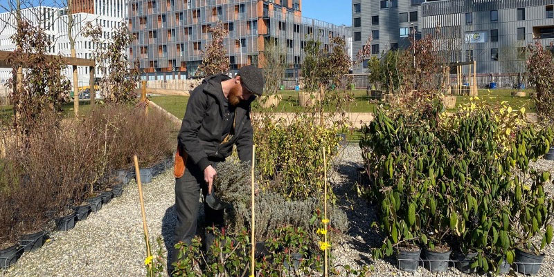 Une seconde chance pour toutes les plantes