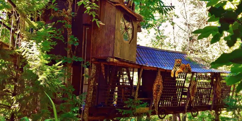 Nuit insolite : escapade perchée au Vertige du Tigre à l'ouest de Béziers