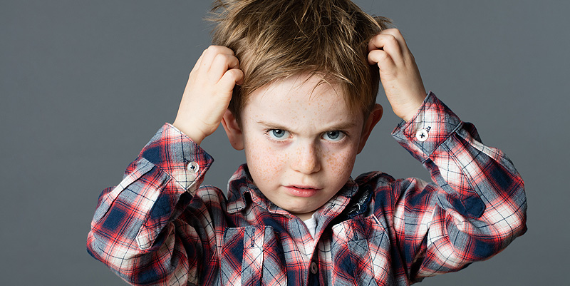 Les traitements anti-poux passés au crible