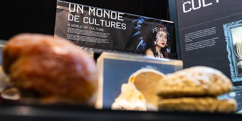 L'exposition Cervorama à Bordeaux