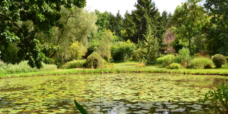 Les "Rendez-vous aux jardins" nous emmènent à l'Arboretum Al Gaulhia, près de Brive