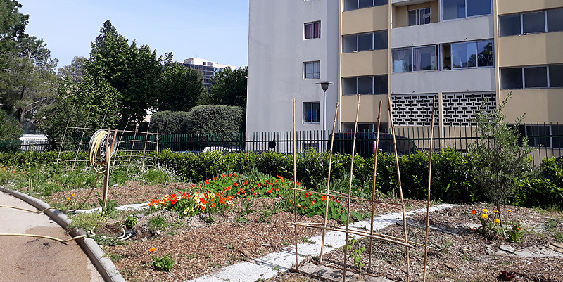 La Recyclerie des Moulins à Nice