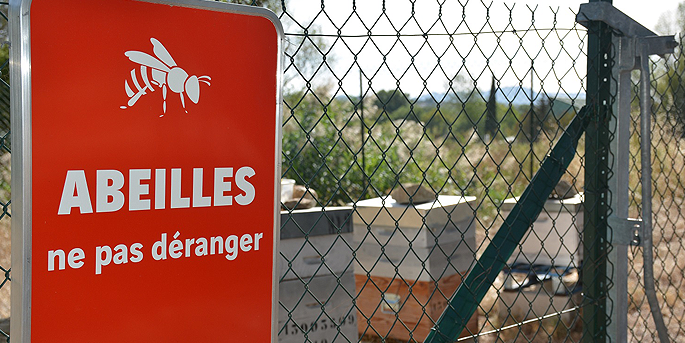Les abeilles de l'autoroute