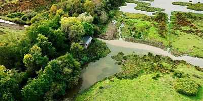 La réserve nationale des marais de Bruges, havre de nature près de Bordeaux