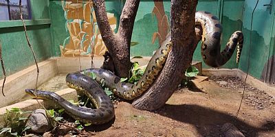 Exotic Park : un voyage animalier à Lescar, près de Pau