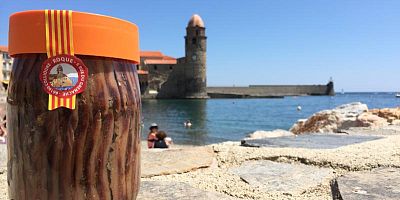 Anchois de Collioure : immersion au cœur du savoir-faire de la maison Roques