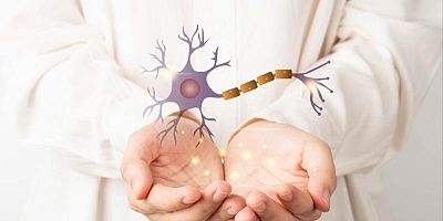 Visualisation holographique d’un neurone - Illustration