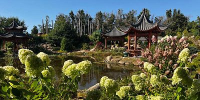 Tropical Parc : la surprenante reconversion d’une ferme en jardin exotique dans le Morbihan
