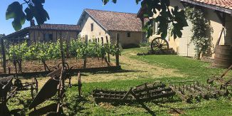 Histoire de terroir dans les Landes